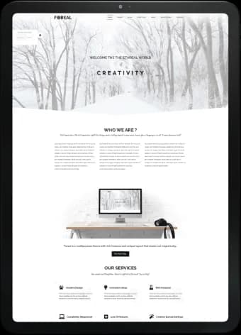 Author website design 6
