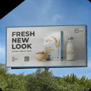 Author website design 5