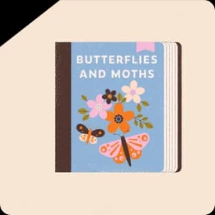 Author website design 3